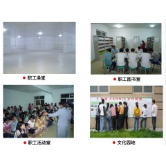 山東山孚日水有限公司招聘信息 男女不限，18-45周歲，