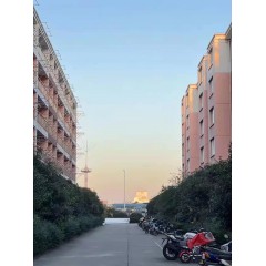 南京中電熊貓晶體  招聘：男18-35周歲，女18-40周歲。